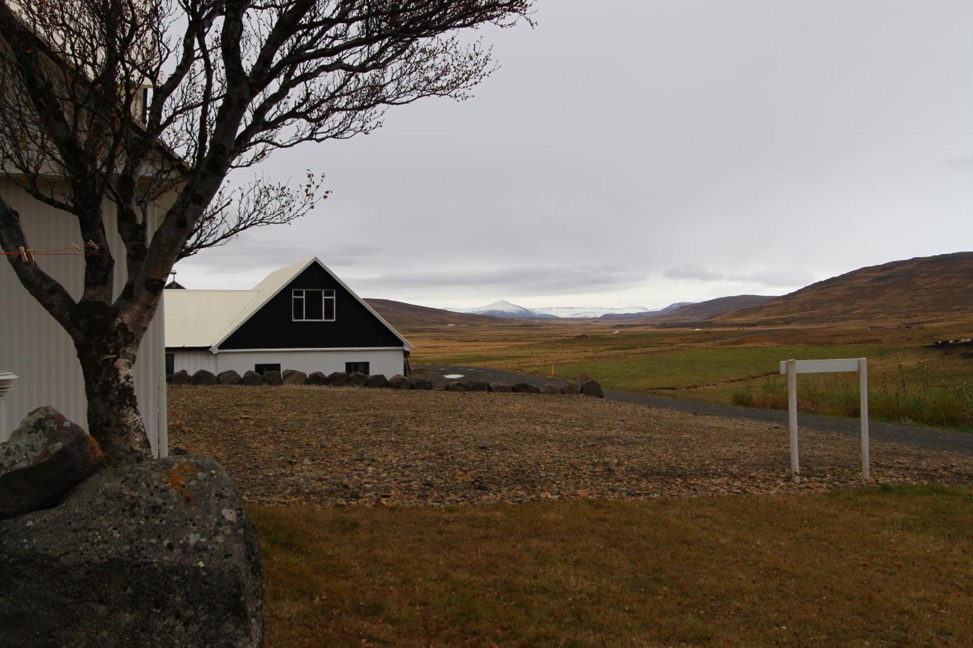 Guesthouse Steindorsstadir, West Iceland Reykholt  Eksteriør billede