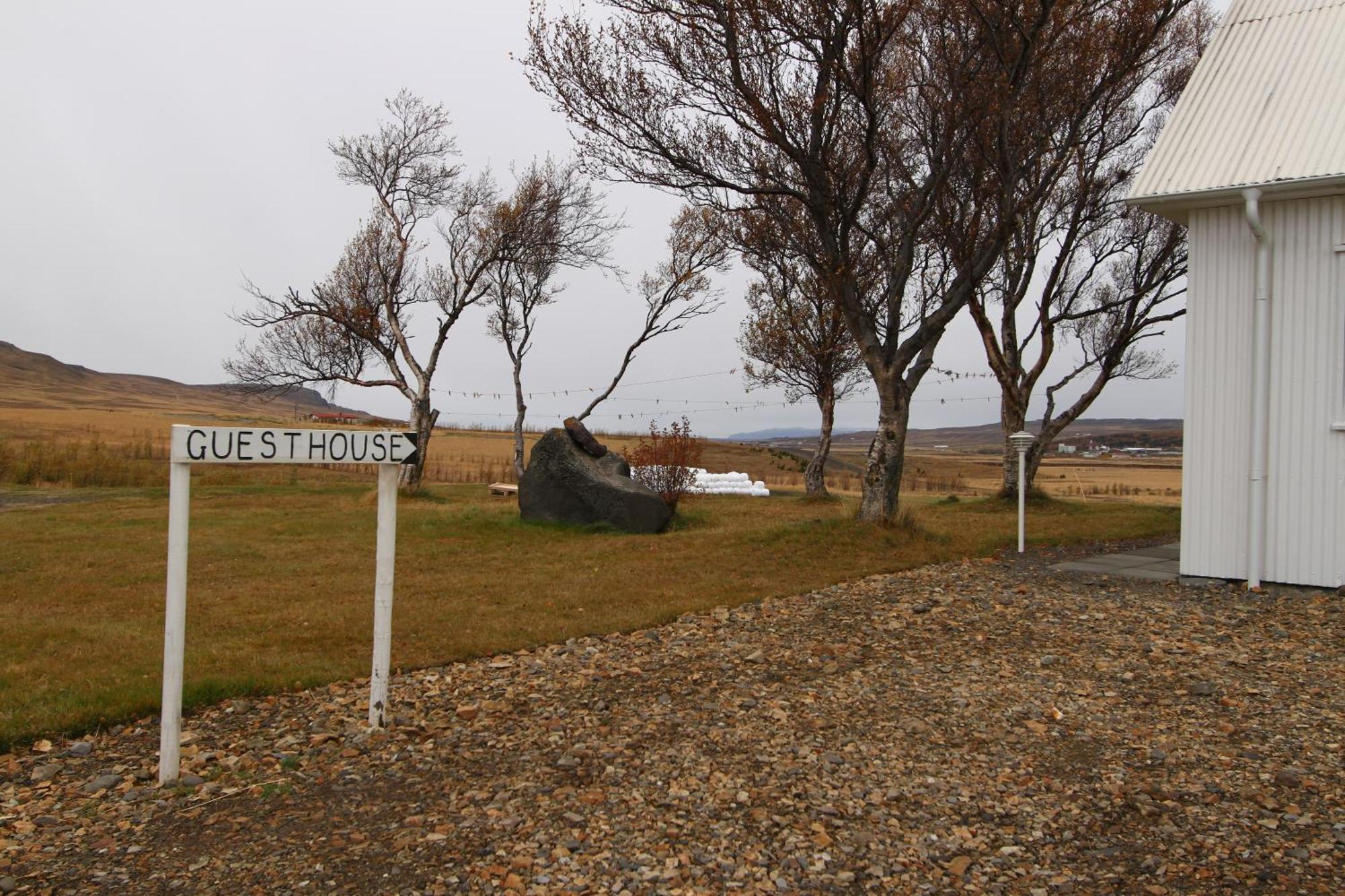 Guesthouse Steindorsstadir, West Iceland Reykholt  Eksteriør billede