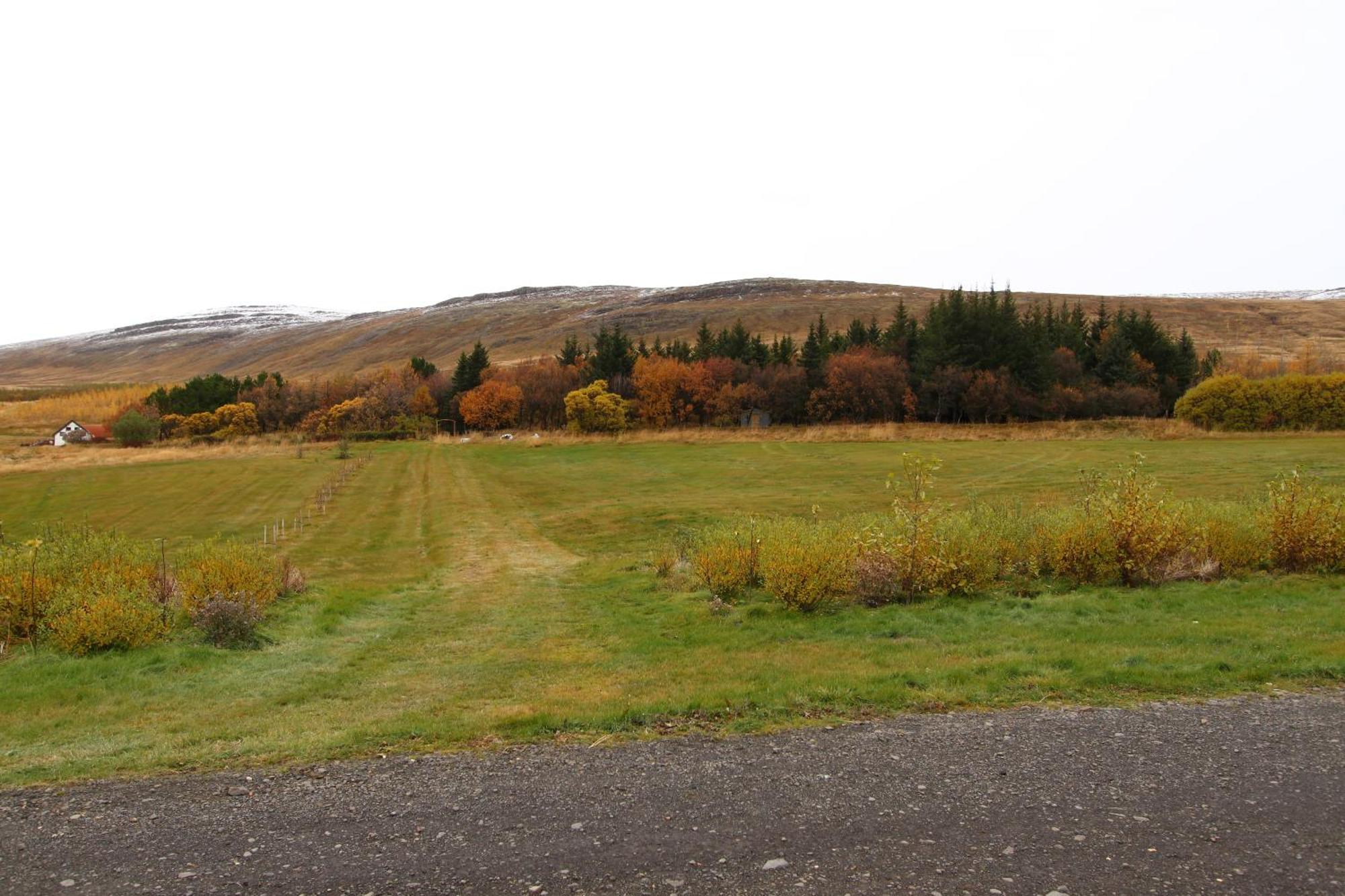 Guesthouse Steindorsstadir, West Iceland Reykholt  Eksteriør billede