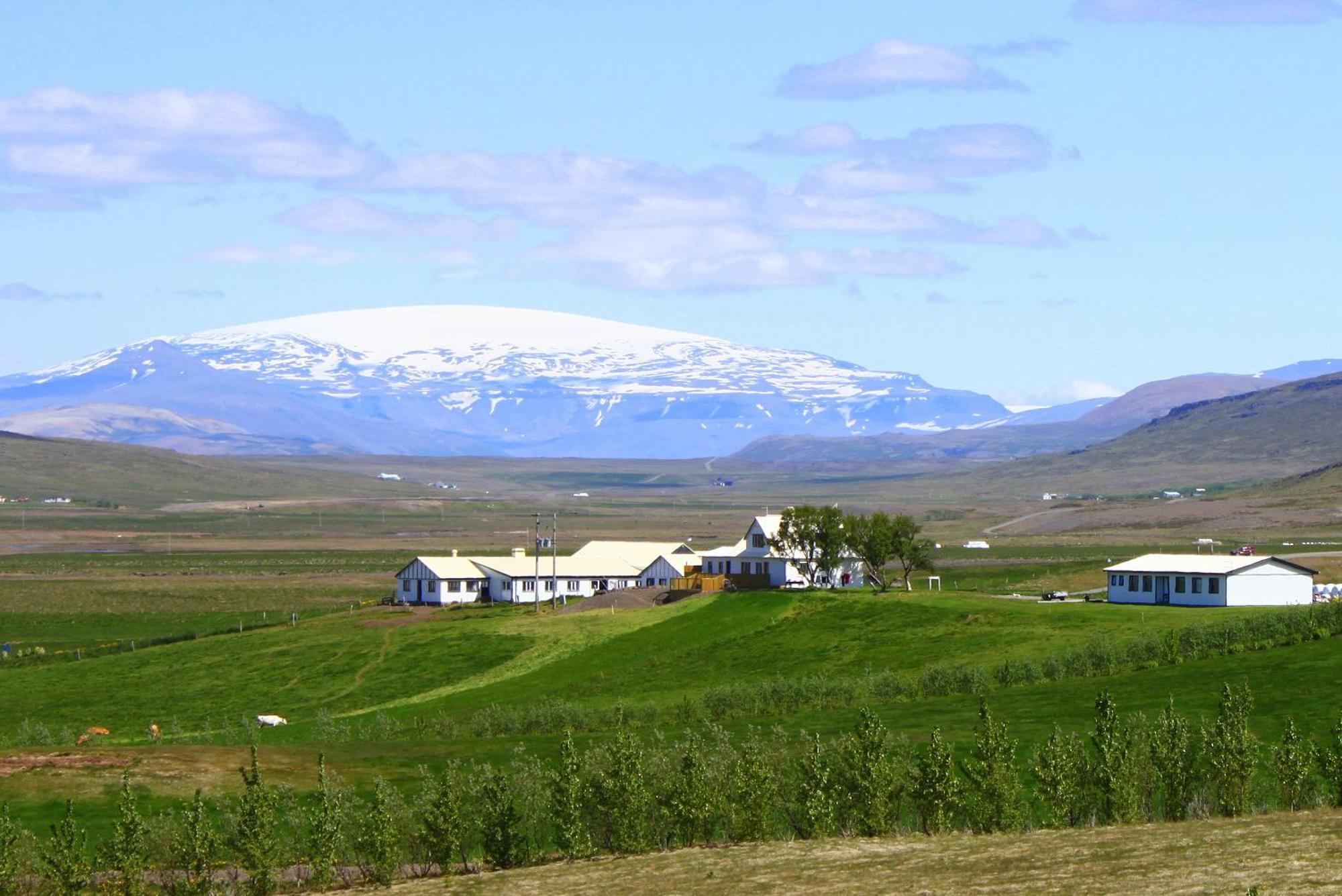 Guesthouse Steindorsstadir, West Iceland Reykholt  Eksteriør billede